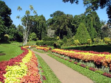 One of the outstanding botanical gardens of Asia, just 5 kms from the Villa 