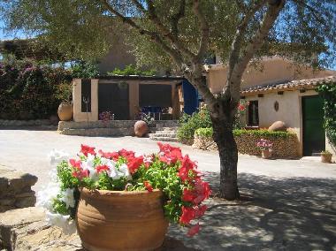Holiday Apartment in Son Macia (Mallorca) or holiday homes and vacation rentals