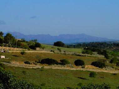 Holiday Apartment in Son Macia (Mallorca) or holiday homes and vacation rentals