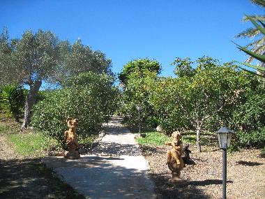 Holiday Apartment in Son Macia (Mallorca) or holiday homes and vacation rentals