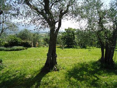 Holiday House in San Quirico di Moriano (Lucca) or holiday homes and vacation rentals