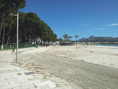 Holiday Apartment in palma de mallorca (Mallorca) or holiday homes and vacation rentals