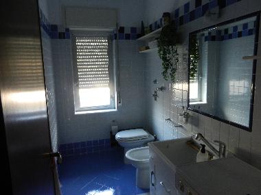 Holiday Apartment in Trapani  (Trapani) or holiday homes and vacation rentals