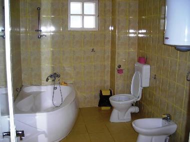 Holiday House in Piatra Neamt (Neamt) or holiday homes and vacation rentals