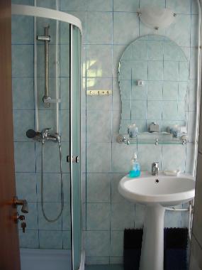 Holiday House in Piatra Neamt (Neamt) or holiday homes and vacation rentals