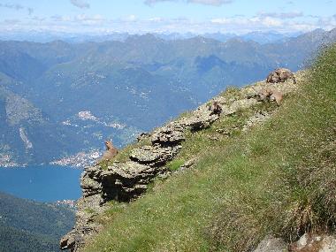 Holiday House in Sorico (Como) or holiday homes and vacation rentals