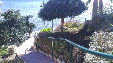 Holiday Apartment in BENALMADENA (M�laga) or holiday homes and vacation rentals