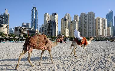 Holiday Apartment in Dubai (Dubayy) or holiday homes and vacation rentals