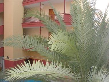 Holiday Apartment in Alanya (Antalya) or holiday homes and vacation rentals