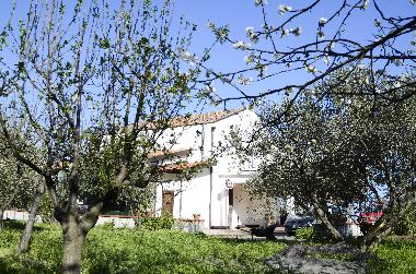 Holiday Apartment in Piedimonte Etneo (Catania) or holiday homes and vacation rentals