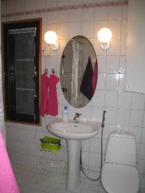 Bathroom with one shower and bide shower.