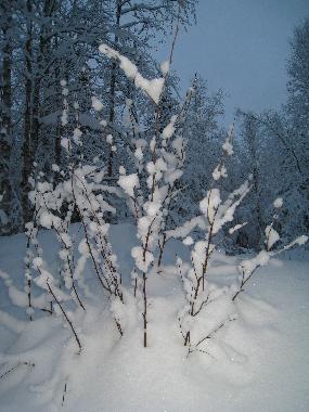 Winter period from November till middle of April.