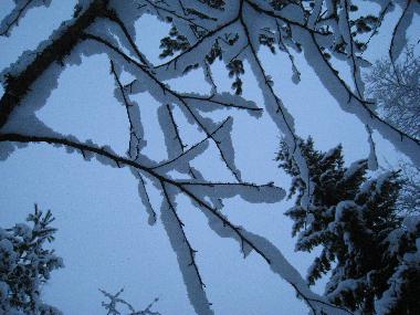 February - March is the best skiing season.