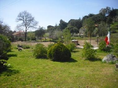 Villa in Porto Azzurro (Livorno) or holiday homes and vacation rentals