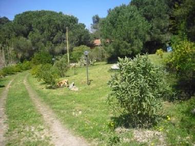 Villa in Porto Azzurro (Livorno) or holiday homes and vacation rentals