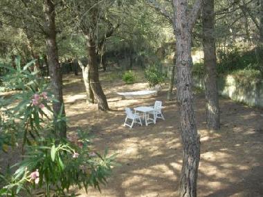 Villa in Porto Azzurro (Livorno) or holiday homes and vacation rentals