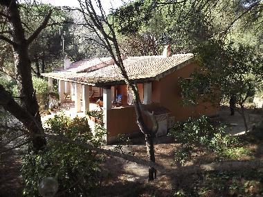 Villa in Porto Azzurro (Livorno) or holiday homes and vacation rentals