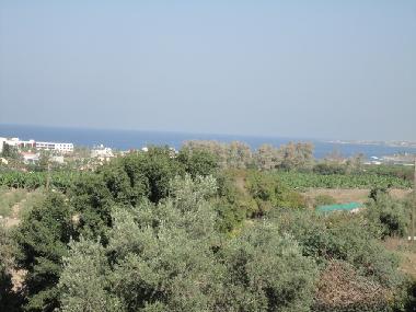 Holiday House in chlorakas (Paphos) or holiday homes and vacation rentals