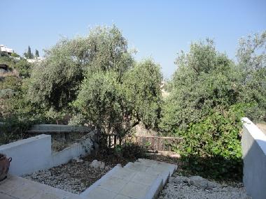 Holiday House in chlorakas (Paphos) or holiday homes and vacation rentals