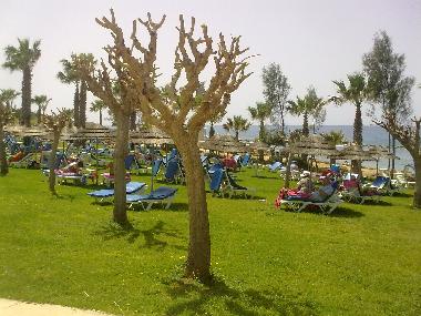 St George hotel beach, 800 m from the house