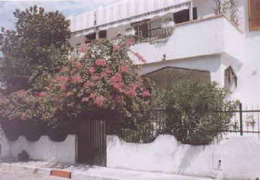 Holiday House in Rodi Garganico (Foggia) or holiday homes and vacation rentals