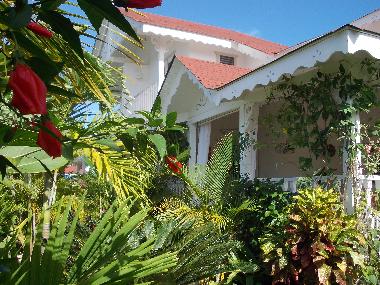 Villa in Las Terrenas (Samana) or holiday homes and vacation rentals