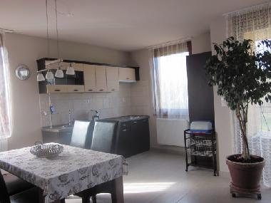 Holiday Apartment in Balatonlelle (Somogy) or holiday homes and vacation rentals