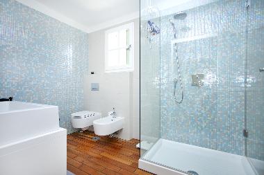 Villa in Rovinj (Istarska) or holiday homes and vacation rentals