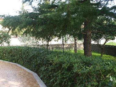 Holiday House in Mascalucia Catania (Catania) or holiday homes and vacation rentals