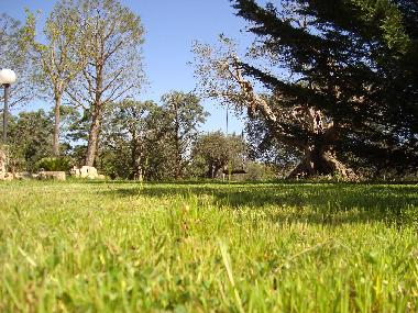 Holiday House in Castellana Grotte (Bari) or holiday homes and vacation rentals