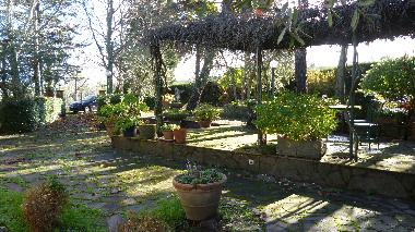 Villa in Figline valdarno (Firenze) or holiday homes and vacation rentals