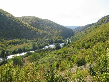 River Cetinja