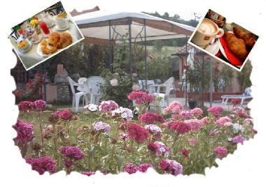 Bed and Breakfast in San Casciano in val di pesa (Bargino) (Firenze) or holiday homes and vacation rentals