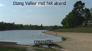 Holiday House in Brossac (Charente) or holiday homes and vacation rentals