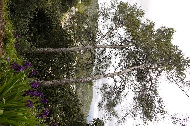 Holiday Apartment in villeneuve loubet (Alpes-Maritimes) or holiday homes and vacation rentals