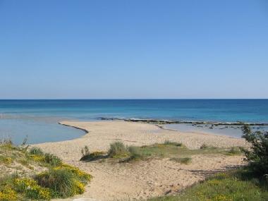 San Pietro in Bevagna