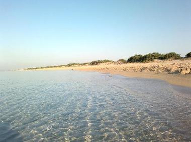 Villa in Manduria (Taranto) or holiday homes and vacation rentals