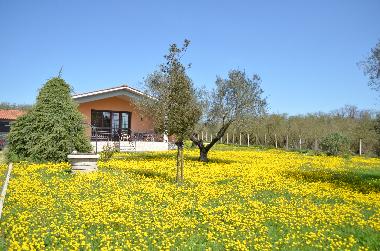 Holiday House in Capranica (Viterbo) or holiday homes and vacation rentals