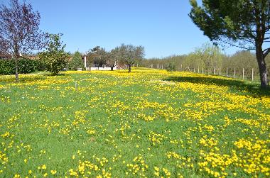 Holiday House in Capranica (Viterbo) or holiday homes and vacation rentals