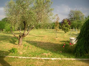 Holiday House in Capranica (Viterbo) or holiday homes and vacation rentals