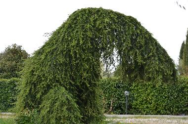 Holiday House in Capranica (Viterbo) or holiday homes and vacation rentals