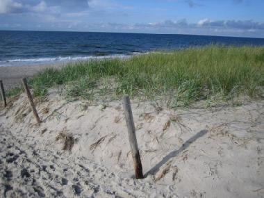 Holiday Apartment in Graal-Mritz (Fischland-Dar-Zingst) or holiday homes and vacation rentals