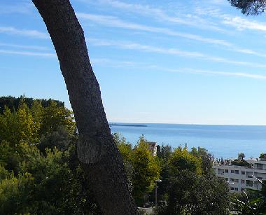 Villa in Cannes (Alpes-Maritimes) or holiday homes and vacation rentals