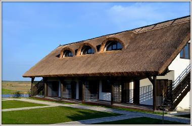 Bed and Breakfast in Dunavatu de Jos (Tulcea) or holiday homes and vacation rentals