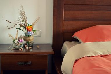 Bed and Breakfast in Dunavatu de Jos (Tulcea) or holiday homes and vacation rentals