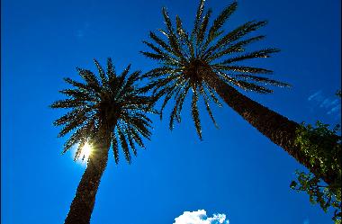 Holiday House in San Vito Lo Capo ( TP ) (Trapani) or holiday homes and vacation rentals