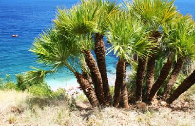 Holiday House in San Vito Lo Capo ( TP ) (Trapani) or holiday homes and vacation rentals