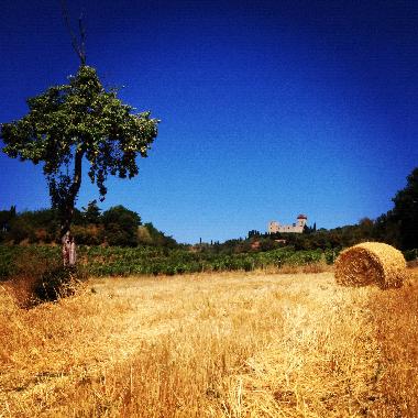 Holiday House in localit Ciliegi (Firenze) or holiday homes and vacation rentals