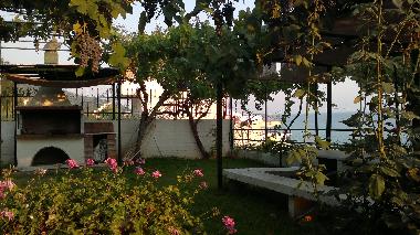 Barbeque