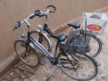 Villa in Taroudannt (Taroudannt) or holiday homes and vacation rentals